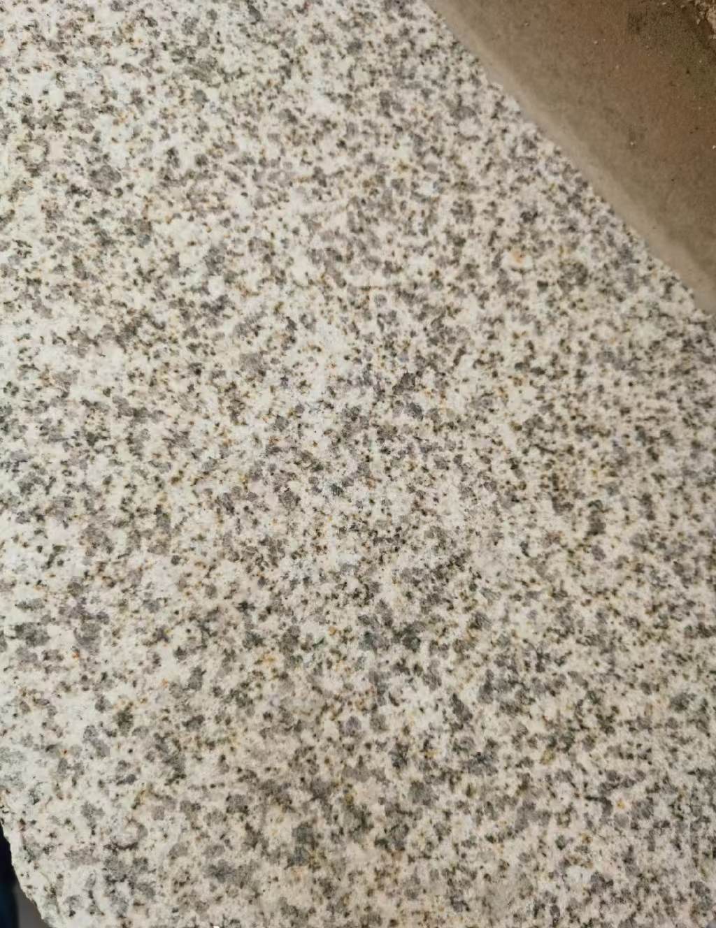 六盘水 黄金麻中黄光面